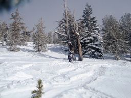 2010-02-10 US Ski and Snow Board Trip 2010 051.jpg