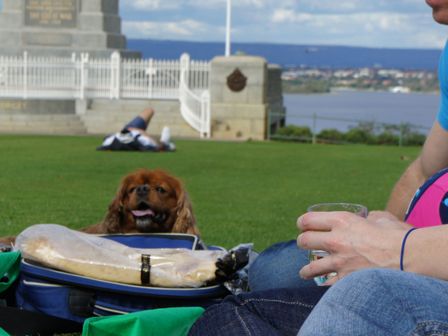 06-Rich and Kat's Picnic.jpg