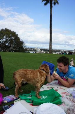 34-Rich and Kat's Picnic.jpg