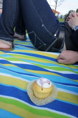 60-Rich and Kat's Picnic.jpg