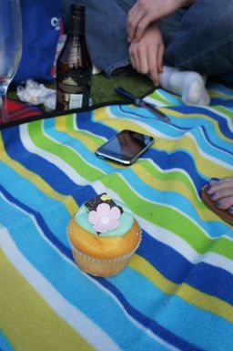 61-Rich and Kat's Picnic.jpg