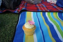 63-Rich and Kat's Picnic.jpg