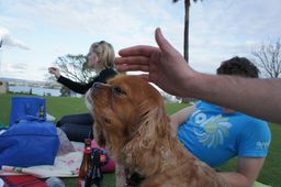 74-Rich and Kat's Picnic.jpg