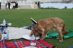 86-Rich and Kat's Picnic.jpg