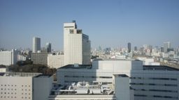 2011-02-07 Travel and Tokyo 13.jpg
