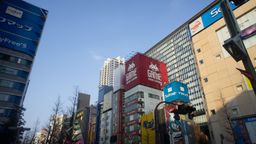 2011-02-07 Travel and Tokyo 24.jpg