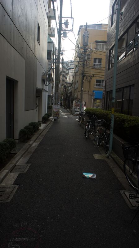 2011-02-07 Travel and Tokyo 25.jpg
