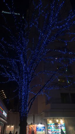 2011-02-07 Travel and Tokyo 27.jpg