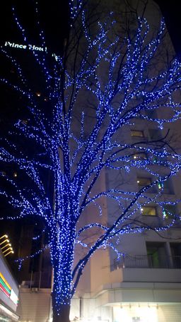 2011-02-07 Travel and Tokyo 28.jpg