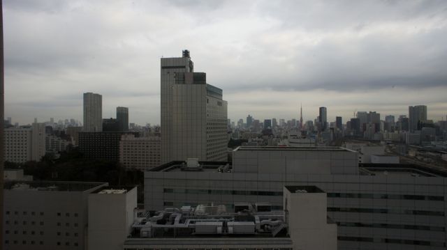 2011-02-08 Travel and Tokyo 30.jpg
