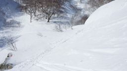 2011-02-12 Skiing and Kutchan 16.jpg