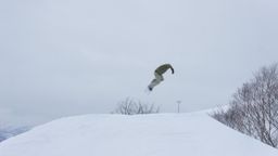 2011-03-01 Last Days 27.jpg