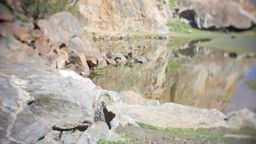 2011-08-20 Climbing 09.jpg
