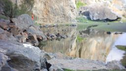 2011-08-20 Climbing 10.jpg