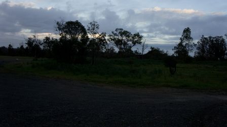 DSC02496.jpg