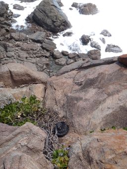 2011-11-18 Wilyabrup 002.JPG