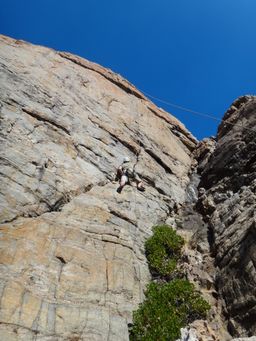 2011-11-19 Wilyabrup 011.JPG