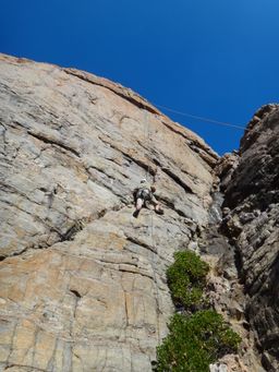 2011-11-19 Wilyabrup 012.JPG