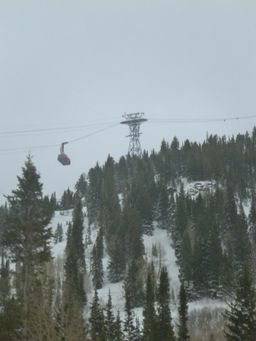 2012-01-26 Snowbird 013.jpg