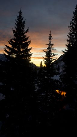 2012-01-29 Snowbird 066.jpg