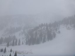 2012-01-30 Snowbird 070.jpg