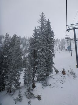 2012-02-02 Snowbird 082.jpg