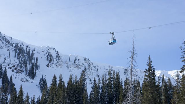 2012-02-04 Snowbird 097.jpg