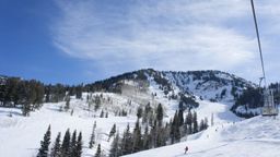 2012-02-04 Snowbird 105.jpg
