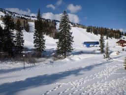 2012-02-06 Solitude 019.jpg