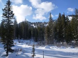 2012-02-06 Solitude 020.jpg