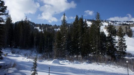 2012-02-06 Solitude 023.jpg