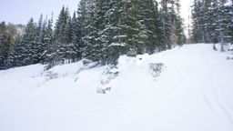 2012-02-06 Solitude 036.jpg
