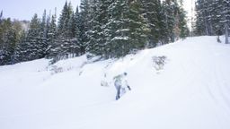 2012-02-06 Solitude 037.jpg