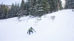 2012-02-06 Solitude 038.jpg
