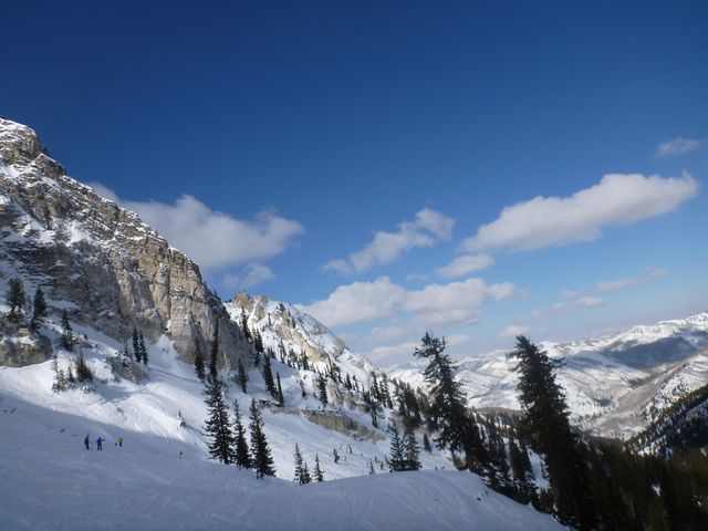 2012-02-06 Solitude 043.jpg