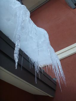 2012-02-06 Solitude 051.jpg