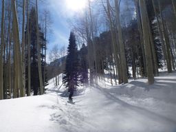 2012-02-07 Solitude 058.jpg