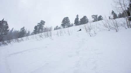 2012-02-08 Solitude 073.jpg