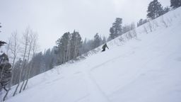 2012-02-08 Solitude 074.jpg