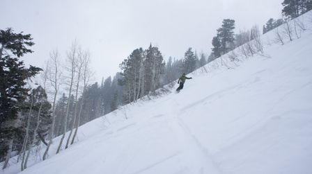 2012-02-08 Solitude 075.jpg