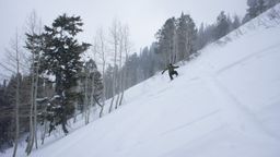 2012-02-08 Solitude 077.jpg