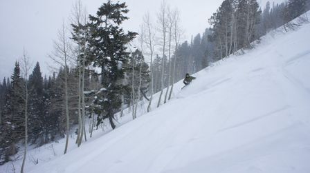 2012-02-08 Solitude 078.jpg