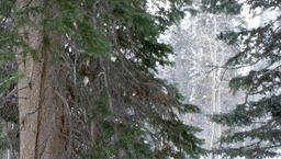 2012-02-08 Solitude 079.jpg