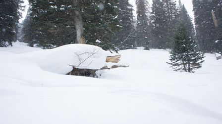 2012-02-08 Solitude 080.jpg