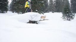 2012-02-08 Solitude 083.jpg