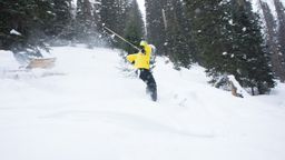2012-02-08 Solitude 085.jpg