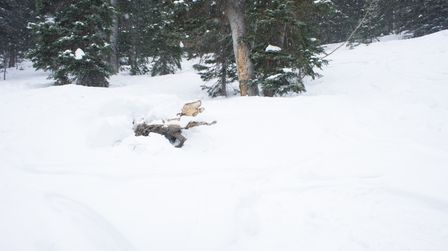 2012-02-08 Solitude 086.jpg