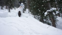 2012-02-08 Solitude 087.jpg