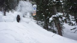 2012-02-08 Solitude 088.jpg