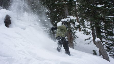 2012-02-08 Solitude 089.jpg